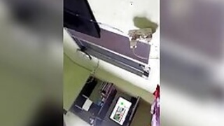 Indian XXX lovers have hot sex on MMS camera